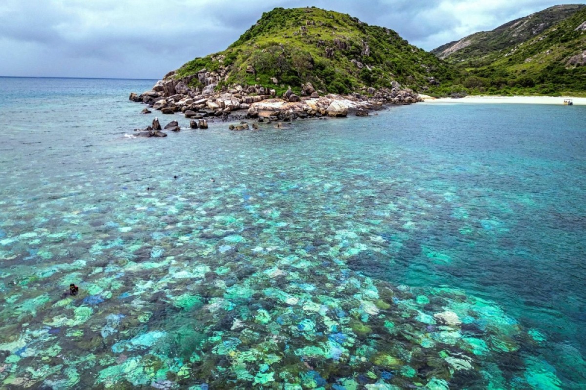 Australia’s Great Barrier Reef hit by record bleaching | kuwaittimes