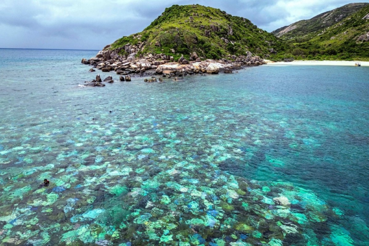 Australia’s Great Barrier Reef Hit By Record Bleaching 