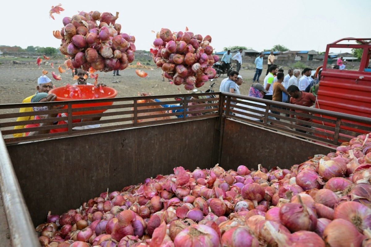 India's onion farmers cry foul at government's price recipe | kuwaittimes