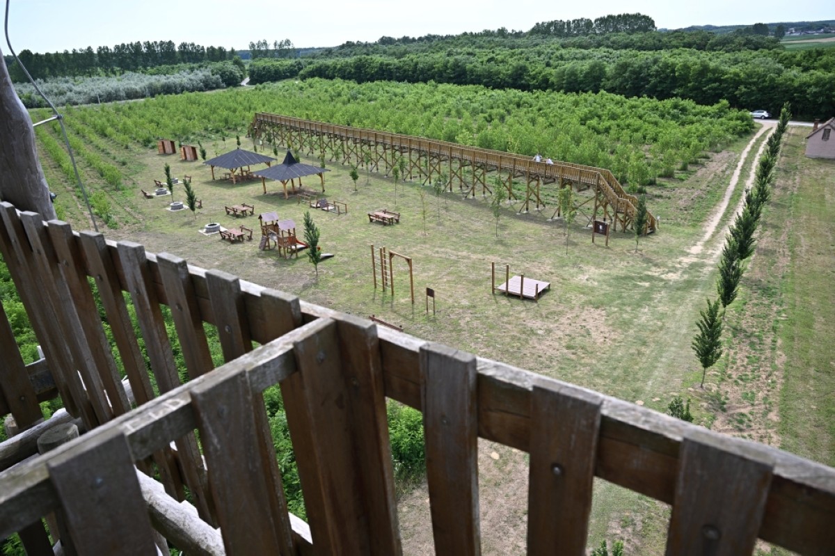 Tree-less canopy walkway highlights corruption in Hungary | Kuwait ...