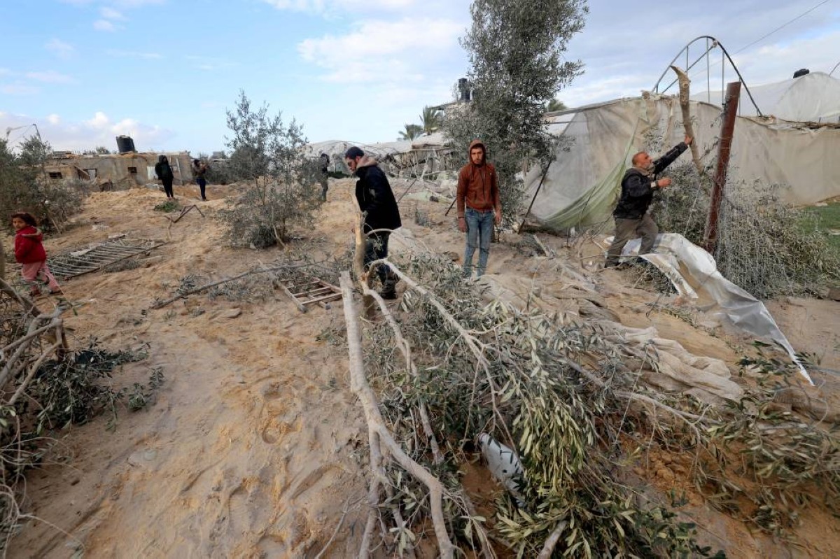 Bulldozed and shelled': Gaza's farming sector ravaged by war | kuwaittimes