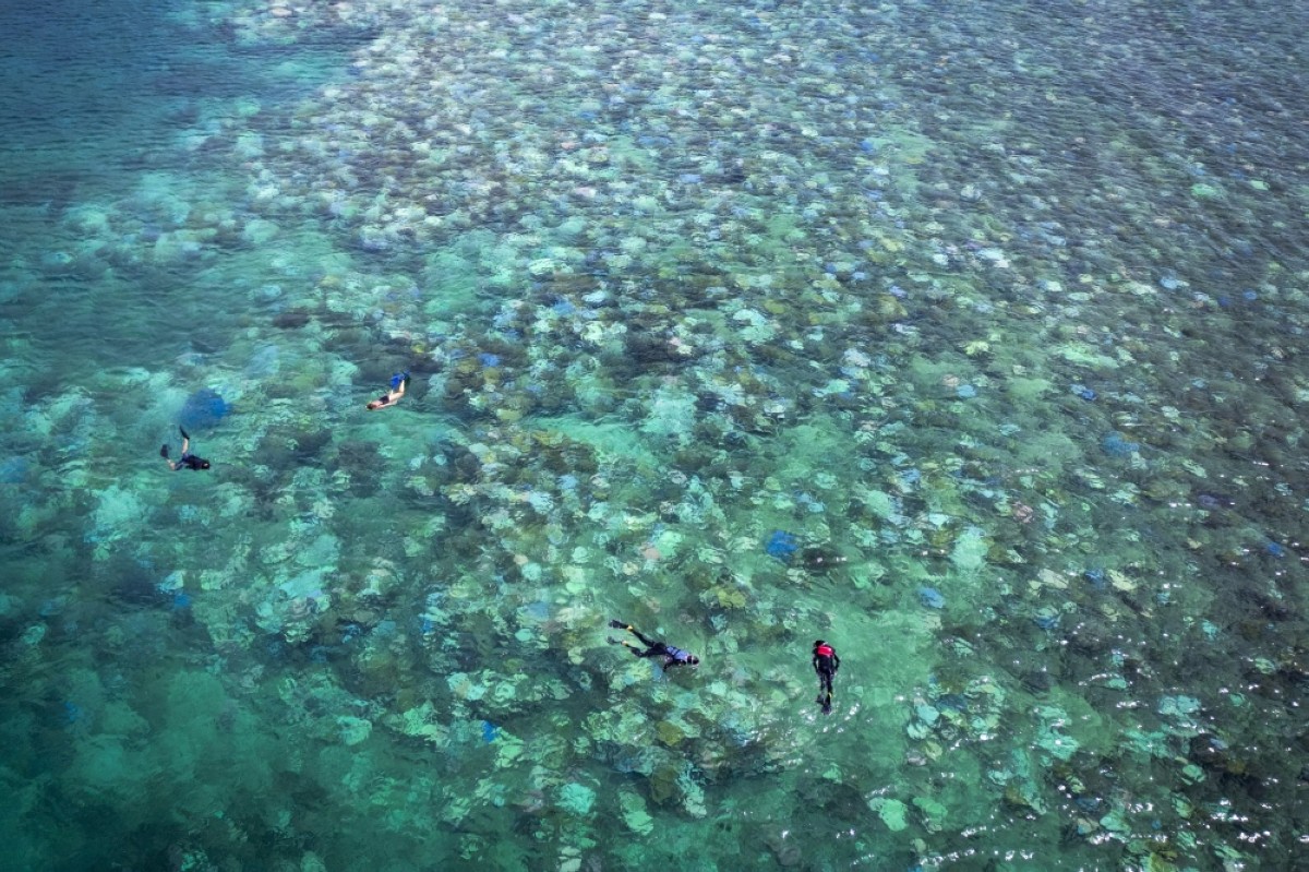 Great Barrier Reef ocean temperatures hit 400-year record