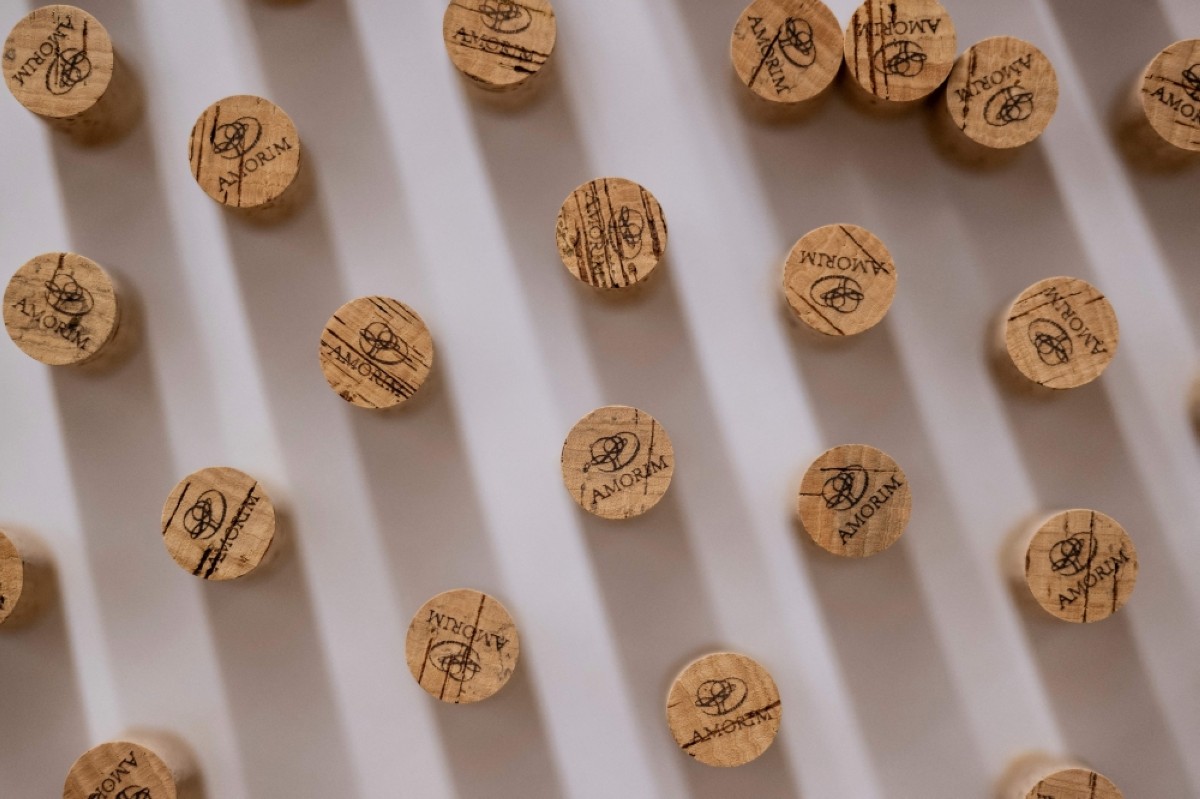 Portugal looks to put new twist on cork industry