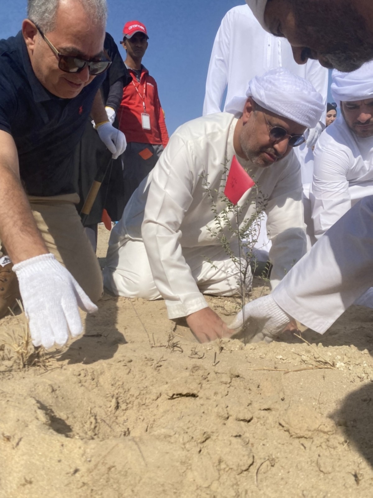 KOC, UAE plant trees to mitigate effects of oil on environment | Kuwait Times Newspaper