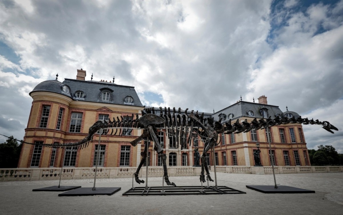 Dinosaur skeleton fetches €6 million in Paris sale