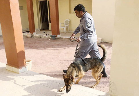An officer using the help of a police dog in search for weapons in Kabd
