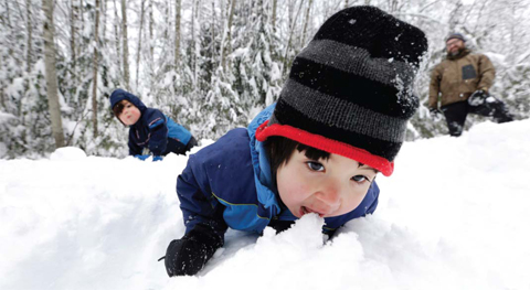 WASHINGTON: Leon Perkins, 3, leans forward to take a bite of snow as he plays with his brother Conner, left, 2, and his father Erin at Snoqualmie Pass. The Seattle family headed to the mountains Tuesday to enjoy the new snow that fell overnight. — AP