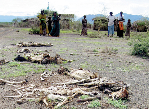 GORAYE: This file photo taken on March 24, 2006 shows sheep carcasses covering the ground on the path leading toward the crater of an extinct volcano in Goraye in the Borana district of southern Ethiopia. — AFP