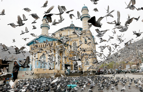 KABUL: Pigeons fly outside Shah-Do Shamshira Mosque. -- AP