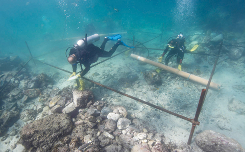 Divers excavate the wreck site of Portuguese explorer Vasco da Gama's ship Esmeralda, which sank in a storm in May 1503 off the coast of Al Hallaniyah island in Oman's Dhofar region. - AP 