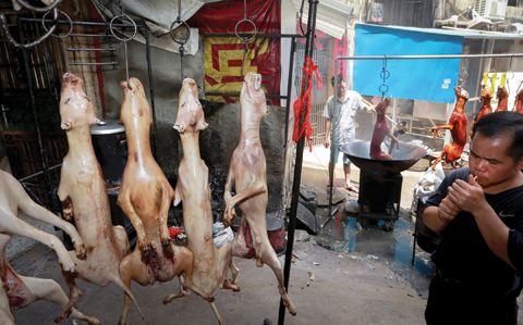 CHINA: In this file photo a man lights a cigarette as a cook roasts dogs at a restaurant in Yulin in south China’s Guangxi Zhuang Autonomous Region. — AP