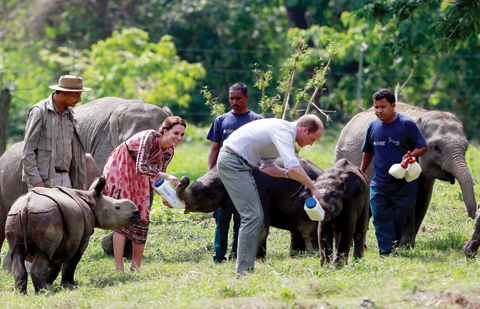 KAZIRANGA: Britain’s Prince William (center), Duke of Cambridge, and Catherine, Duchess of Cambridge, feed baby elephants as a rhino calf looks on at the Centre for Wildlife Rehabilitation and Conservation (CWRC) at Panbari reserve forest in Kaziranga in the northeastern state of Assam. — AFP
