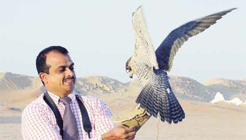 Dr Zubair Medammal with a falcon during his visit to Kuwait