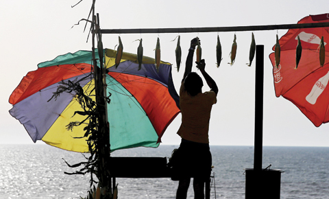 GAZA: A Palestinian vendor hangs corn on the cob at his stand along the Mediterranean Sea in Gaza City’s fishing harbor yesterday. The harbor is one of the few open public spaces in this densely populated city. — AP