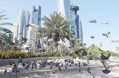 DOHA: Photo shows pigeons flying above the corniche in Doha. Arab nations including Saudi Arabia and Egypt cut ties with Qatar, accusing it of supporting extremism, in the biggest diplomatic crisis to hit the region in years. - AFP