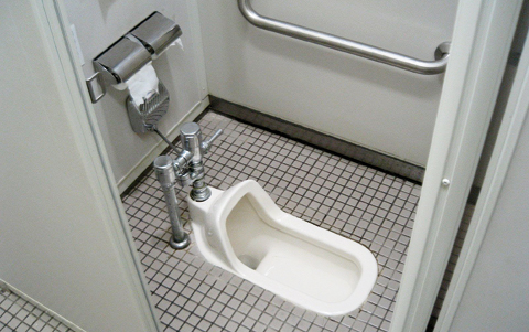 Photo shows an Asian-style squat toilet