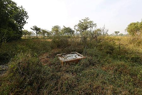ILE PHOTO: An open toilet is seen in a field in Gorba in Chhattisgarh, November 16, 2015. REUTERS