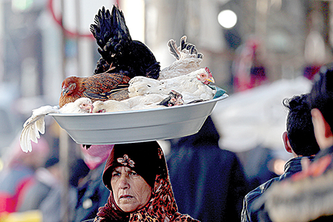 A Syrian woman carries poultries above her head in the northern Syrian town of Manbij, controlled by Kurdish-dominated Syrian Democratic Forces (SDF), on December 29, 2018. - Syrian troops deployed in support of Kurdish forces around a strategic northern city on on December 28, in a shift of alliances hastened by last week's announcement of a US military withdrawal. (Photo by Delil SOULEIMAN / AFP)