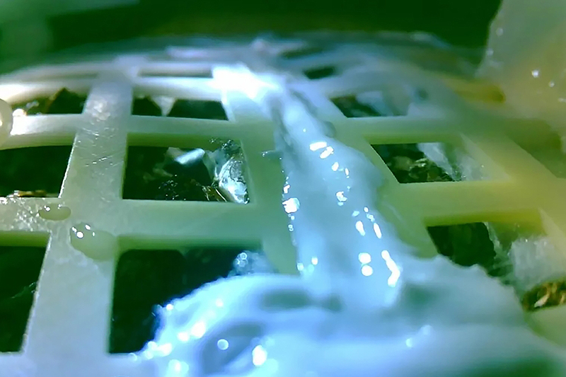 This handout photograph taken on Jan 7, 2019 shows a cotton sprout growing in a lattice-structured container during an experiment inside the Chang'e-4 moon probe on the far side of the moon. - AFP 