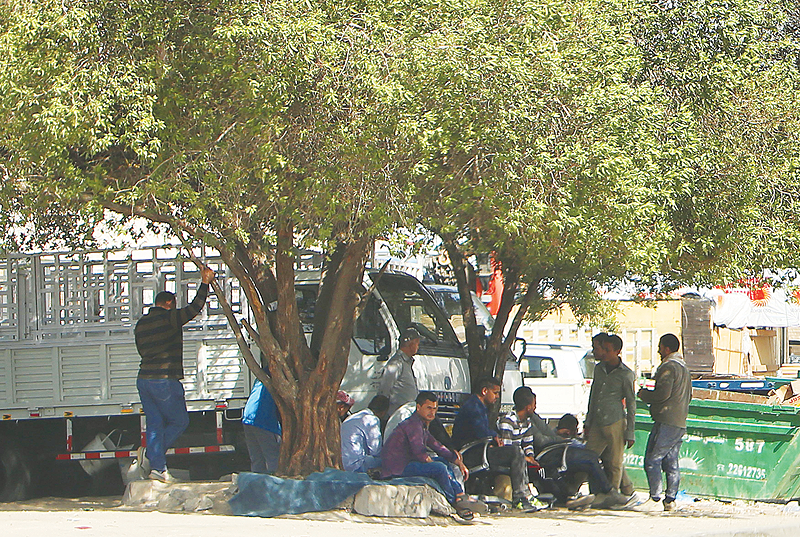 KUWAIT: Workers take shelter from the sun under a tree yesterday. — Photo by Yasser Al-Zayyat