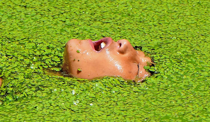 A boy swims in a pond covered with algae at Kirtipur on the outskirts of Kathmandu on August 23, 2019. (Photo by PRAKASH MATHEMA / AFP)