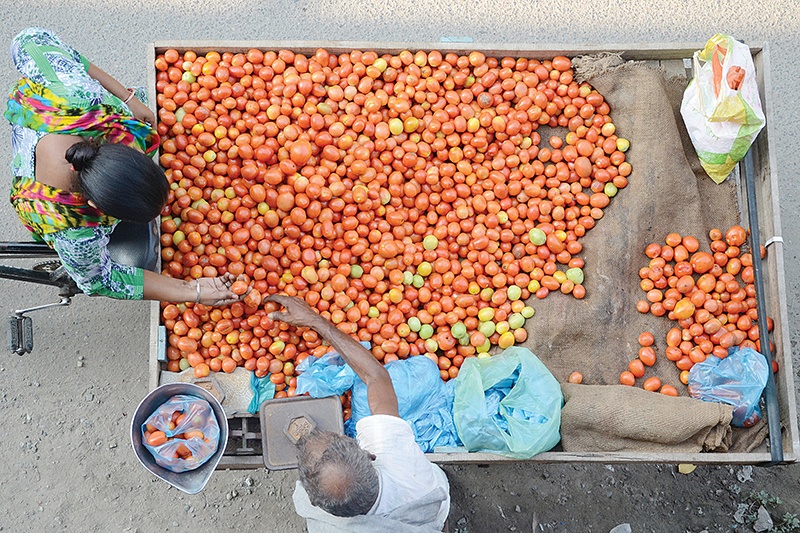 An Indian vendor sells tomatoes at his cart in Amritsar on August 28, 2019. (Photo by NARINDER NANU / AFP)