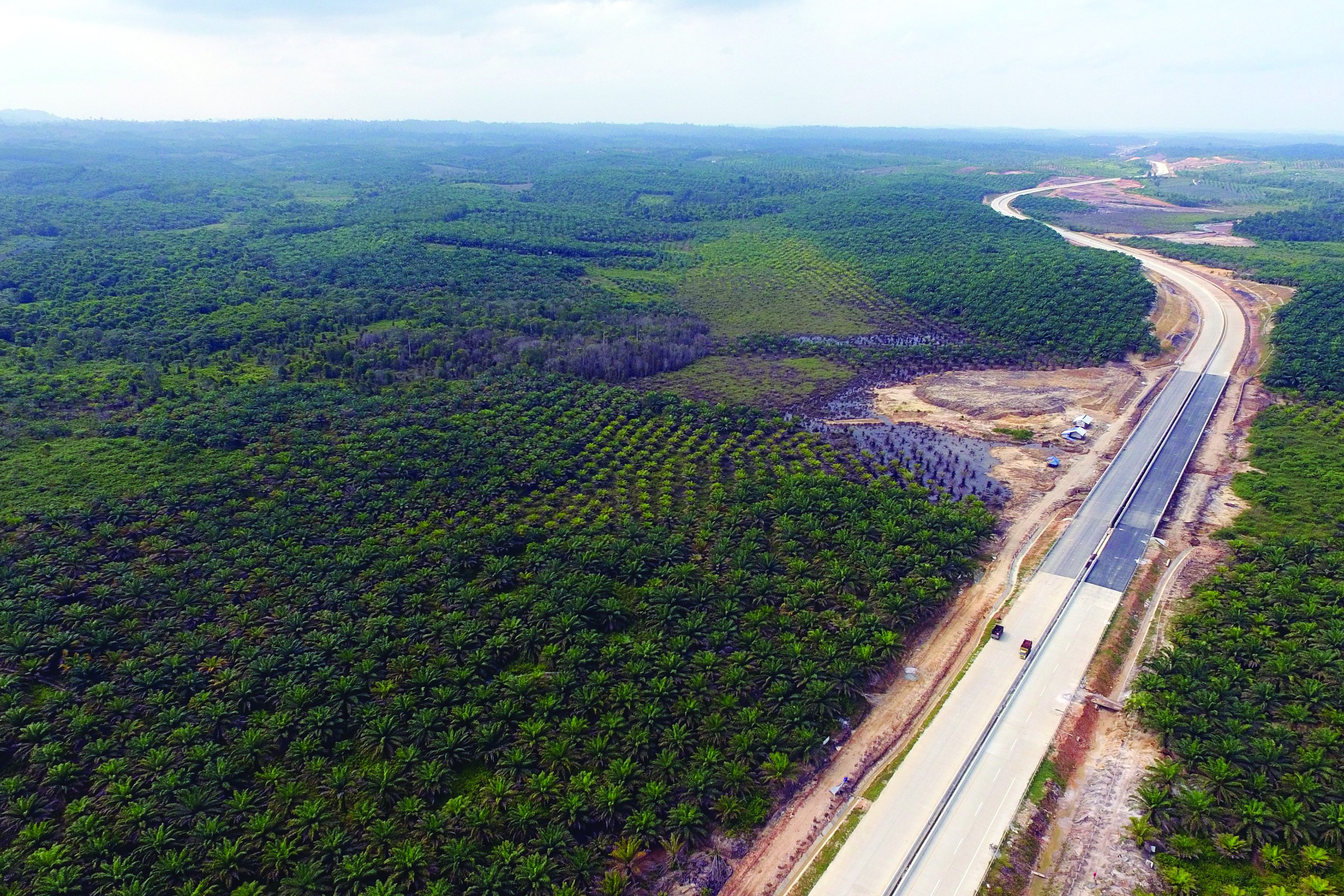 TOPSHOT - This aerial picture taken on July 31, 2019 by news outlet Tribun Kaltim shows a view of the area around Samboja, Kutai Kartanegara, one of two locations proposed by the government for Indonesia's new capital. - Indonesia has chosen the eastern edge of jungle-clad Borneo island for its new capital, President Joko Widodo said on August 26, 2019, as the country looks to shift its political heart away from congested megalopolis Jakarta. (Photo by Fachmi RACHMAN / TRIBUN KALTIM / AFP)