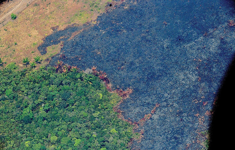 Aerial picture showing a burnt piece of land in the Amazon rainforest, about 65 km from Porto Velho, in the state of Rondonia, in northern Brazil, on August 23, 2019. - Bolsonaro said Friday he is considering deploying the army to help combat fires raging in the Amazon rainforest, after news about the fires have sparked protests around the world. The latest official figures show 76,720 forest fires were recorded in Brazil so far this year -- the highest number for any year since 2013. More than half are in the Amazon. (Photo by Carl DE SOUZA / AFP)