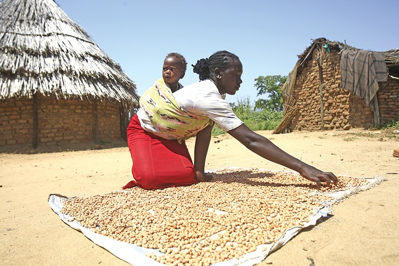 A Sudanese woman dries crops outside her house on October 10, 2019 in the village of Shattaya, some 150 kms west of Niayla, the capital of Sudan's southern Darfur region, following her return home last year after more than a decade of being displaced. - Many Shattaya residents have tentatively started to return to their homes, made of mud brick and thatch, after living in run-down camps for years. Their village was one of those that faced the brunt of the attack unleashed by the Janjaweed in the early years of the conflict. The fighting in Darfur erupted in 2003 when ethnic African rebels took up arms against Khartoum's then Arab-dominated government of now ousted leader Omar al-Bashir, alleging racial discrimination, marginalisation and exclusion. (Photo by ASHRAF SHAZLY / AFP)