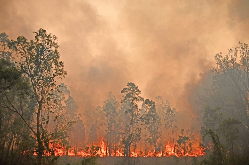A fire rages in Bobin, 350km north of Sydney on November 9, 2019, as firefighters try to contain dozens of out-of-control blazes that are raging in the state of New South Wales. - Catastrophic bushfires in eastern Australia have killed at least three people and forced thousands from their homes, with the death toll expected to rise as firefighters struggle towards hard-to-reach communities. (Photo by PETER PARKS / AFP)