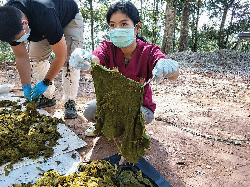 Veterinarians examine pieces of waste recovered from the stomach of a dead deer at Khun Sathan National Park in Thailand's Nan province on Monday. - AFP 