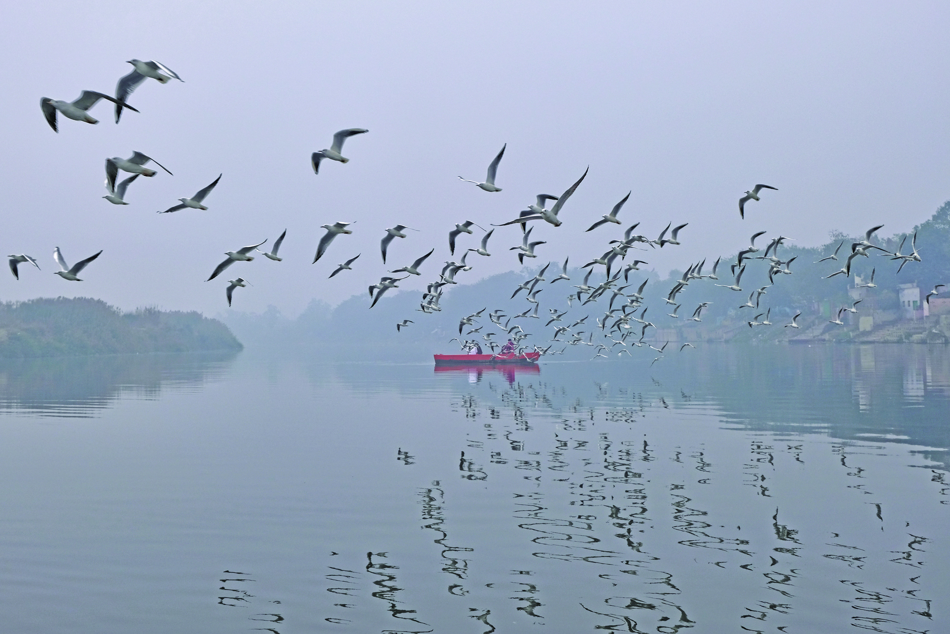 Migratory birds fly over a boat on the Yamuna River amidst heavy smog conditions in New Delhi on January 21, 2020. (Photo by Noemi Cassanelli / AFP)