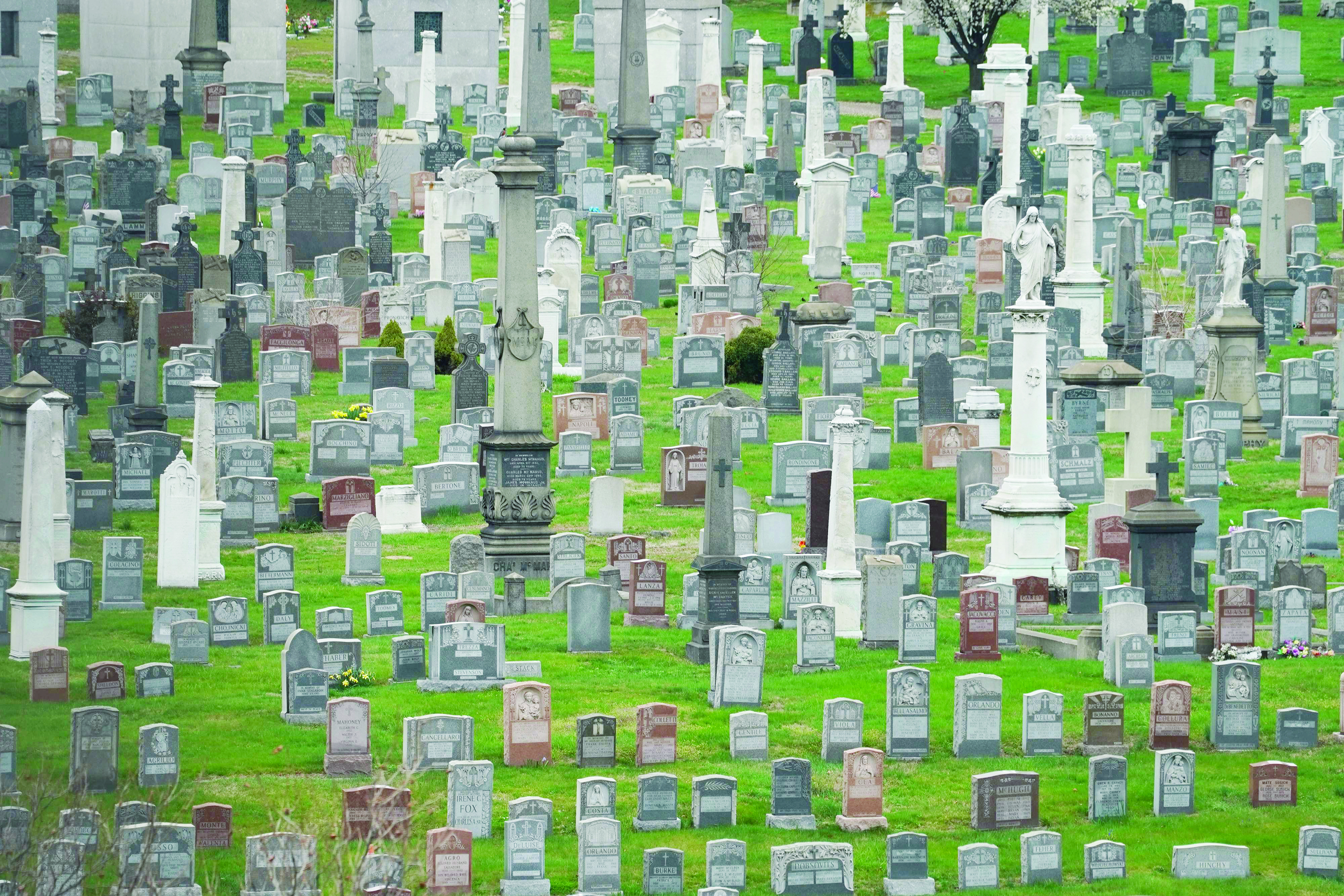 TOPSHOT - Headstones in Calvary Cemetery in the Borough of Queens on March 31, 2020 in New York. - A military hospital ship arrived in New York on March 30, 2020 as America's coronavirus epicenter prepares to fight the peak of the pandemic that has killed over 2,500 people across the US. The navy's 1,000-bed USNS Comfort entered a Manhattan pier around 10:45 am (1545 GMT). It will treat non-virus-related patients, helping to ease the burden of hospitals overwhelmed by the crisis. (Photo by Bryan R. Smith / AFP)
