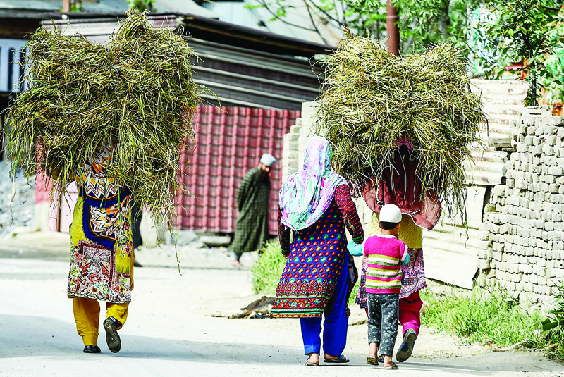 Women carry grass for cattle above their head as they walk on a street on the outskirts of Srinagar on May 6, 2020. (Photo by Tauseef MUSTAFA / AFP)