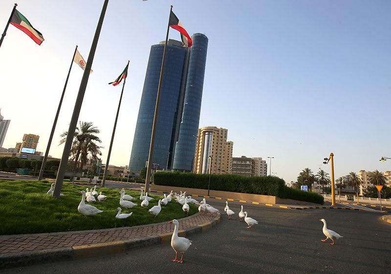 KUWAIT: Geese walk along Arabian Gulf street in Kuwait City on June 5, 2020, during a partial curfew imposed by the authorities in a bid to stem the spread of the novel coronavirus. — Photo by Yasser Al-Zayyat
