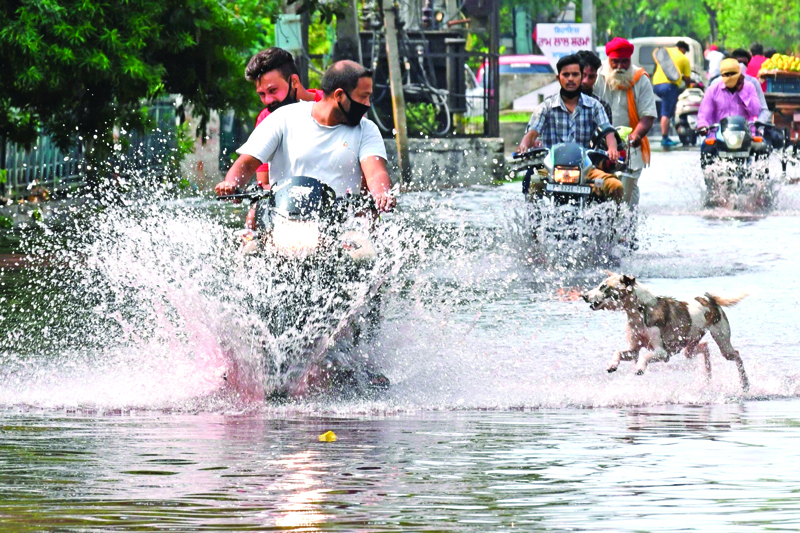 A dog chases a motorist along a water-logged street during heavy rain in Amritsar on July 19, 2020. (Photo by NARINDER NANU / AFP)