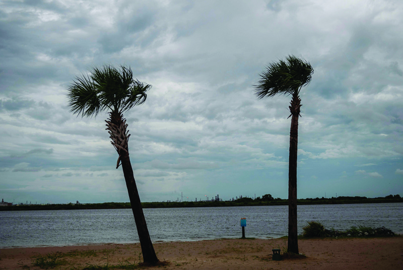 Palm trees blow in the wind from Hurricane Laura on a beach in Lake Charles, Louisiana on August 26, 2020. - Hurricane Laura is a Category 4 as it heads for the to coastal Texas and Louisiana were residents have been told to evacuate or shelter. (Photo by ANDREW CABALLERO-REYNOLDS / AFP)