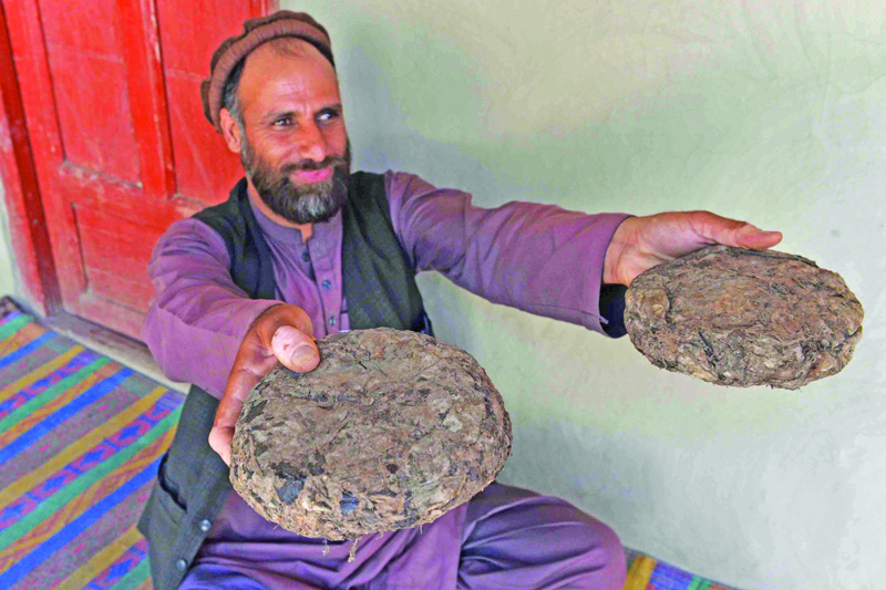 This photo taken on June 28, 2020 shows 37-year-old farmer Mohaiyudeen displaying packages of opium after harvesting it from his poppy fields in the Surkh-Rod district of Nangarhar province. - Afghans pushed out of work by the coronavirus pandemic after businesses and schools were shuttered have turned to opium cultivation for cash during this year's poppy harvest. (Photo by NOORULLAH SHIRZADA / AFP) / To go with AFP story Afghanistan-conflict-health-virus-drugs-opium, FOCUS by Noorullah Shirzada and Rasheed Durrani