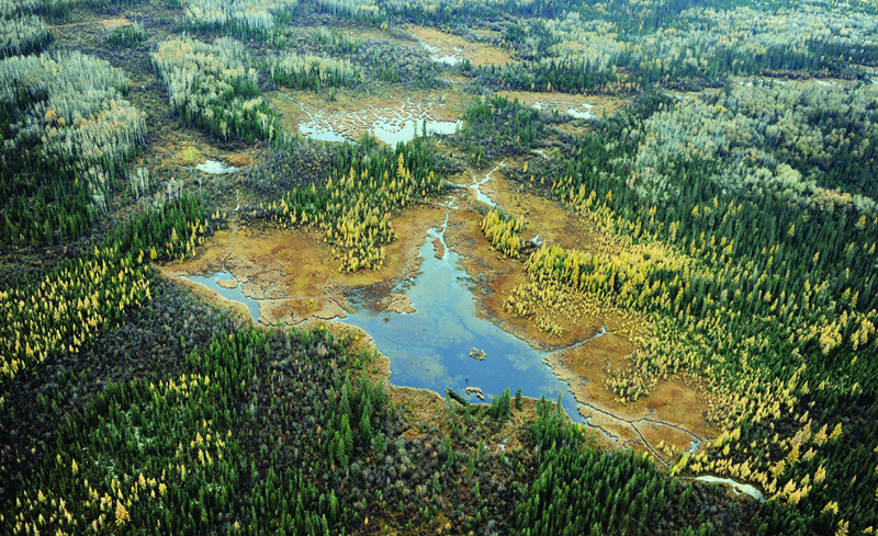 (FILES) In this file photo taken on October 23, 2009 an aerial view of a lake and forests in the vicinity of oil sands extraction facilities near the town of Fort McMurray in Alberta Province, Canada on October 23, 2009. - The United States slammed a World Trade Organization ruling August 24, 2020 that favored Canada in a longstanding battle over lumber imports, holding the case up as further justification for Washington's campaign to drastically reform the global trade body. (Photo by MARK RALSTON / AFP)
