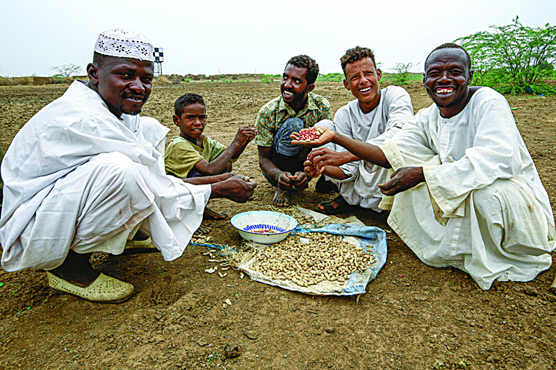 Sudanese farmers snack on peanuts harvested on a farm in Ardashiva village in Sudan's east-central al-Jazirah state, 70 km south of the capital, on August 8, 2020. - Sudan was once so famous for its produce of peanuts some called the tasty seed snack 'sudani' in Arabic -- but a government export ban has left traders reeling. (Photo by ASHRAF SHAZLY / AFP)