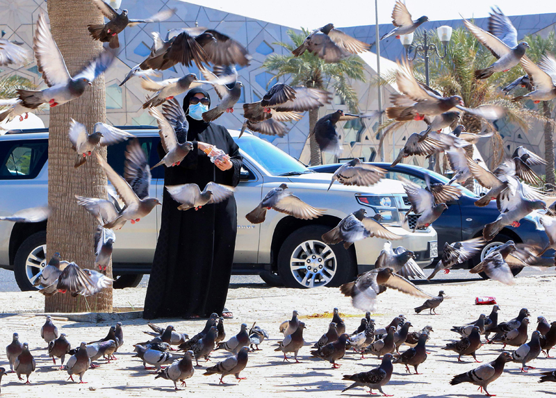 KUWAIT: A Kuwaiti woman wearing a mask feeds pigeons by the seaside on Sunday. – Photo by Yasser Al-Zayyat