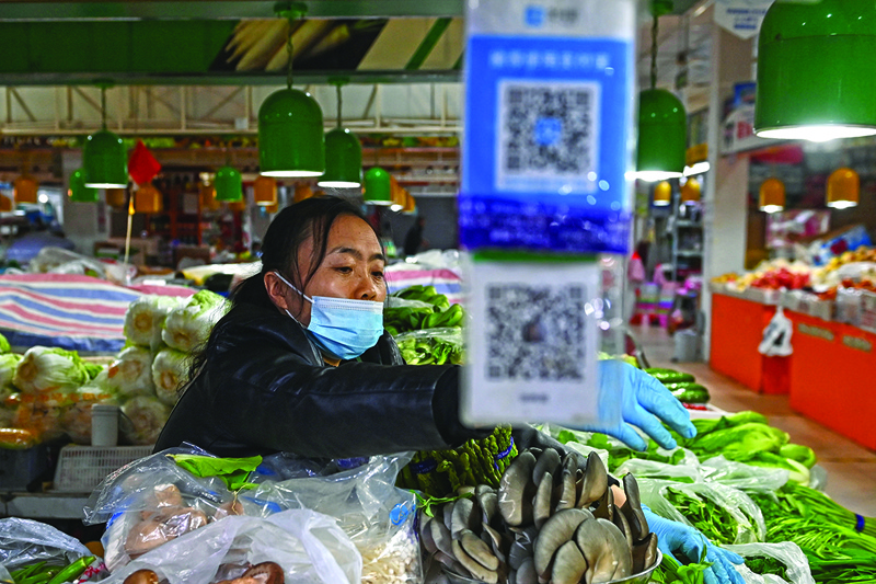 A vendor works behind Alipay (top) and WeChat (bottom) QR payment codes at a market in Beijing, on the day Alipay's parent company Ant Group launched a history-making 34 billion USD IPO on October 27, 2020. (Photo by GREG BAKER / AFP)