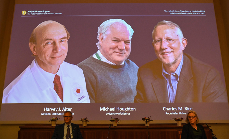 Nobel Committee members Patrik Ernfors (L) and Gunilla Karlsson Hedestam sit in front of a screen displaying the winners of the 2020 Nobel Prize in Physiology or Medicine (L-R) American Harvey Alter, Briton Michael Houghton and American Charles Rice during a press conference at the Karolinska Institute in Stockholm, Sweden, on October 5, 2020. - Americans Harvey Alter and Charles Rice together with Briton Michael Houghton won the Nobel Medicine Prize on Monday for the discovery of the Hepatitis C virus, the Nobel jury said. (Photo by Jonathan NACKSTRAND / AFP)