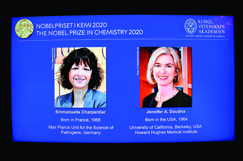 A screen shows French researcher in Microbiology, Genetics and Biochemistry Emmanuelle Charpentier (L) and US professor of Chemistry and of Molecular and Cell Biology, Jennifer Doudna during the announcement of the 2020 Nobel laureates in Chemistry during a press conference at the Royal Swedish Academy of Sciences, in Stockholm, on October 7, 2020. (Photo by Henrik MONTGOMERY / various sources / AFP) / Sweden OUT