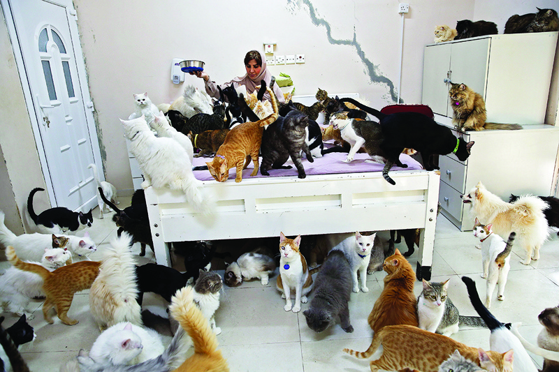 TOPSHOT - Maryam Al Balushi feeds her pets in her home Oman's capital Muscat on November 20, 2020. - Despite complaints from neighbours and mounting expense, she has accumulated 480 cats and 12 dogs, describing her pets as a mood-lifter and better companions than her fellow humans. (Photo by MOHAMMED MAHJOUB / AFP)