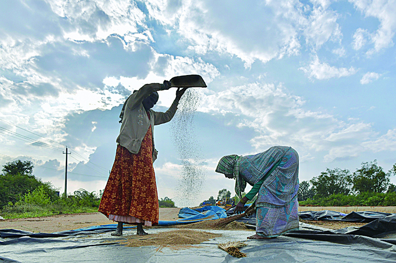 Labourers winnow millet grain to separate it from its chaff at a farm on the outskirts of Bangalore on November 28, 2020. (Photo by Manjunath Kiran / AFP)
