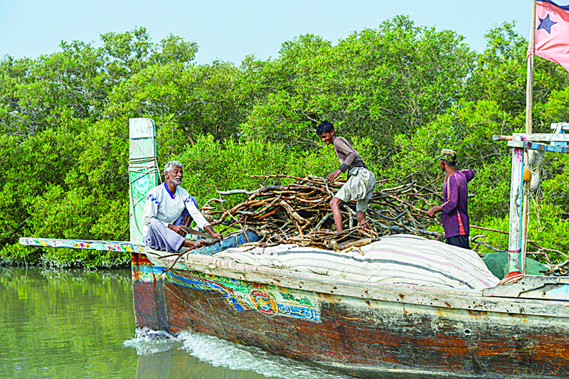 In this picture taken on October 18, 2020 fishermen ride a boat past a mangrove forest at Kainri Creek located in the Arabian Sea off the coast of Karachi. - A short boat ride from the shores of Karachi, mangrove trees sprout along the quiet inlets of an uninhabited island that environmentalists say provides vital coastal protection to Pakistan's largest city. (Photo by Rizwan TABASSUM / AFP)
