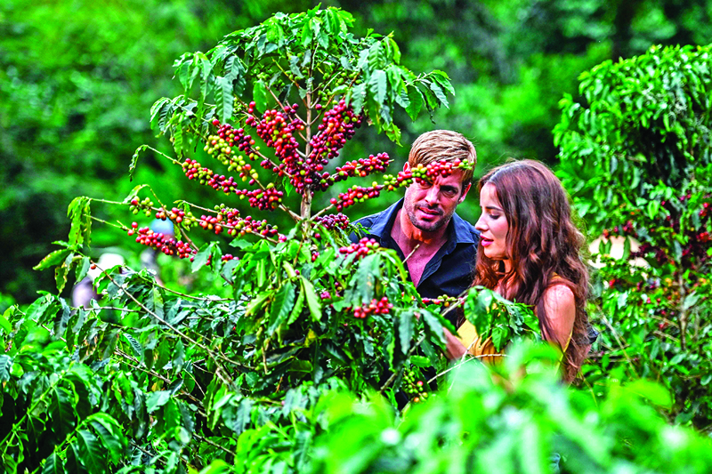 Colombian actress Laura Londono (R) and Cuban actor William Levy perform a scene during the production of a new version of the Colombian soap opera Cafe in the municipality of Chinchina, Caldas Department, Colombia, on December 8, 2020, amid the COVID-19 coronavirus pandemic. - Soap operas revive in Colombia, one of the major references of this industry in Latin America, after the paralysis by the pandemic. They are produced with asepsis, covid-19 tests, restriction in the capacity, masks, anti-fluid suits, adjusted budgets by the crisis and a permanent risk. According to the National Media Association (Asomedios), the confinement decreed by the government at the end of March forced RCN and its competitor Caracol to stop 38 productions. (Photo by Joaquin SARMIENTO / AFP)