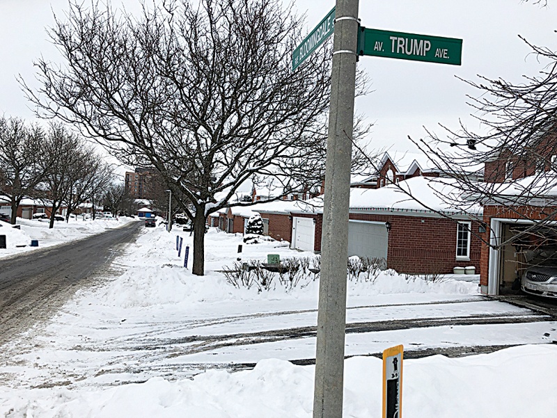 OTTAWA: The 'Trump Avenue' street sign is seen in a west side suburb in Ottawa on Tuesday.-AFP