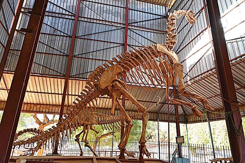 A general view of a dinosaur skeleton at the National Museum of Niger (MNN).n